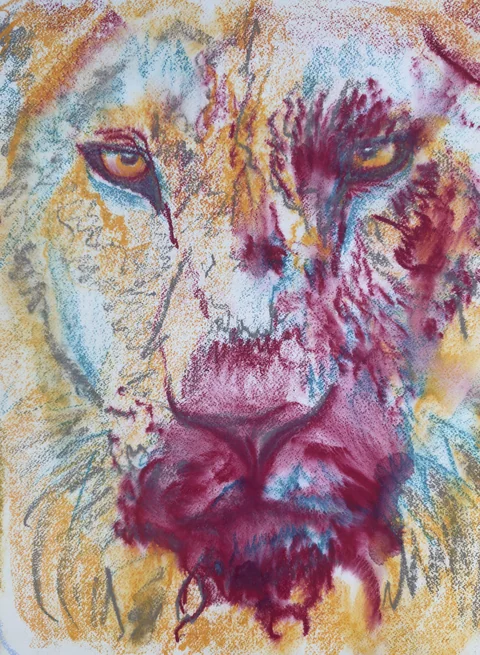 A lion’s face rendered in vivid pink, yellow, and blue strokes