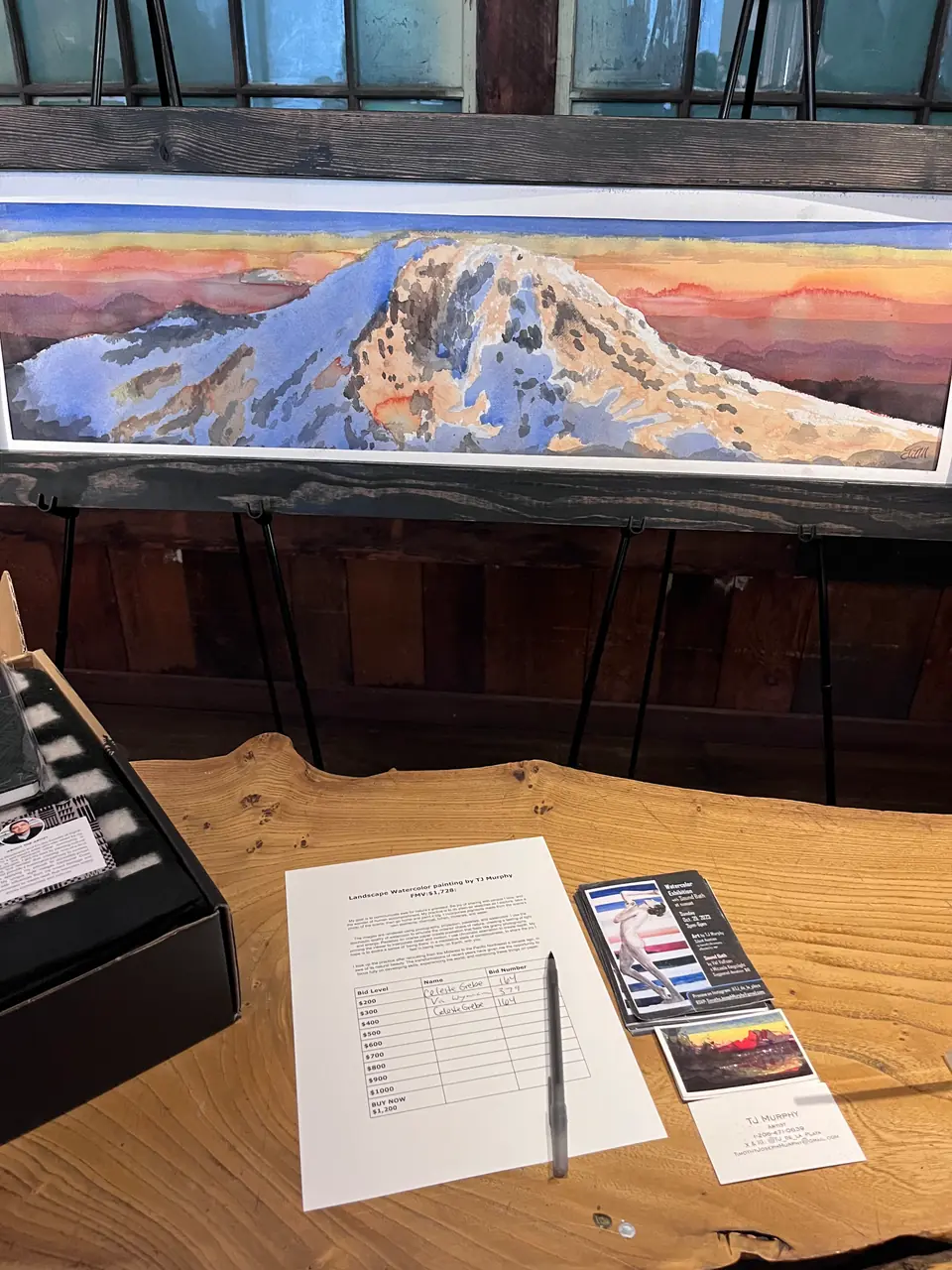 Intiman Theater Seattle Auction exhibition photograph 7