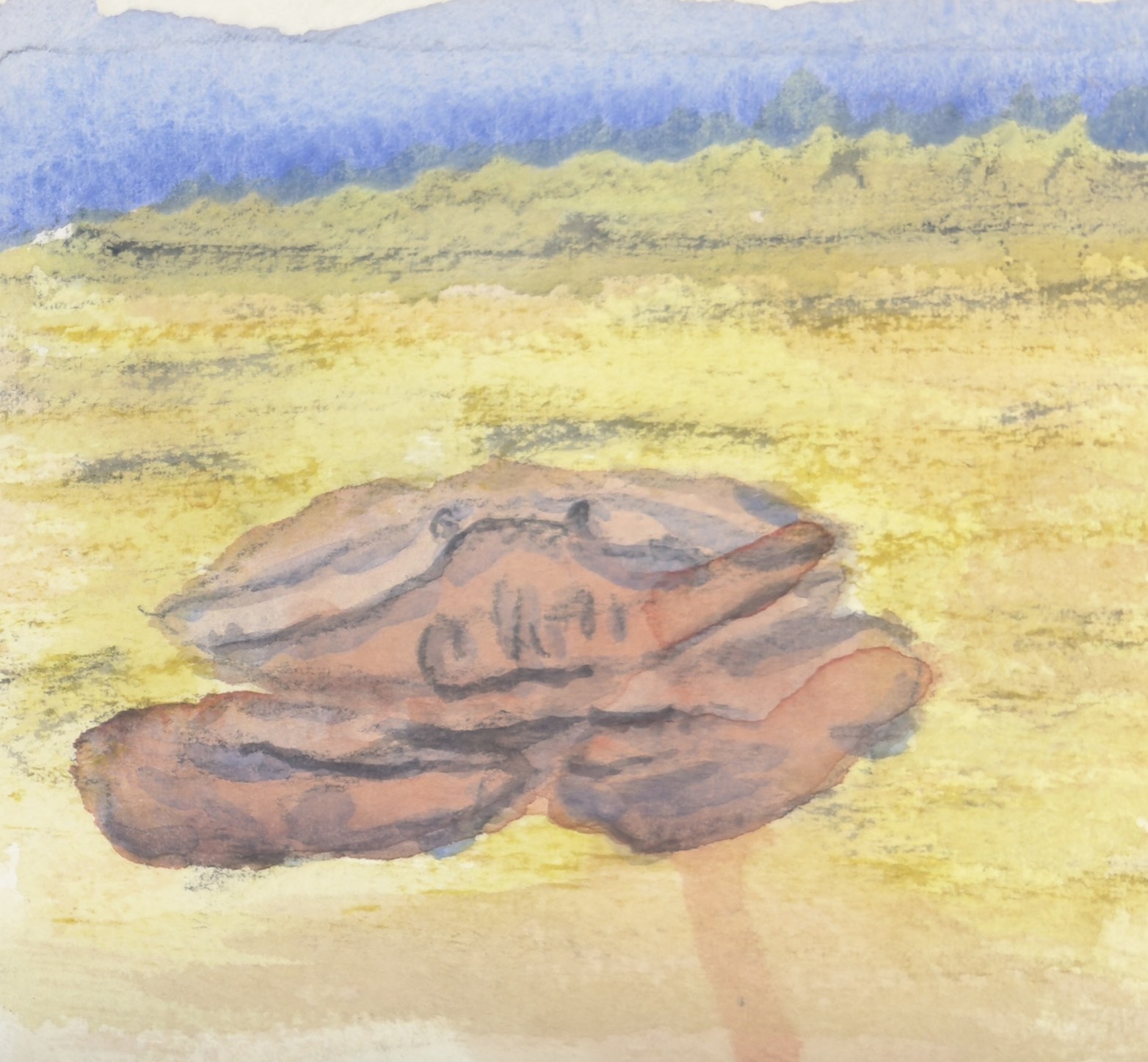TJ Crab on Beach 180, a painting by TJ Murphy
